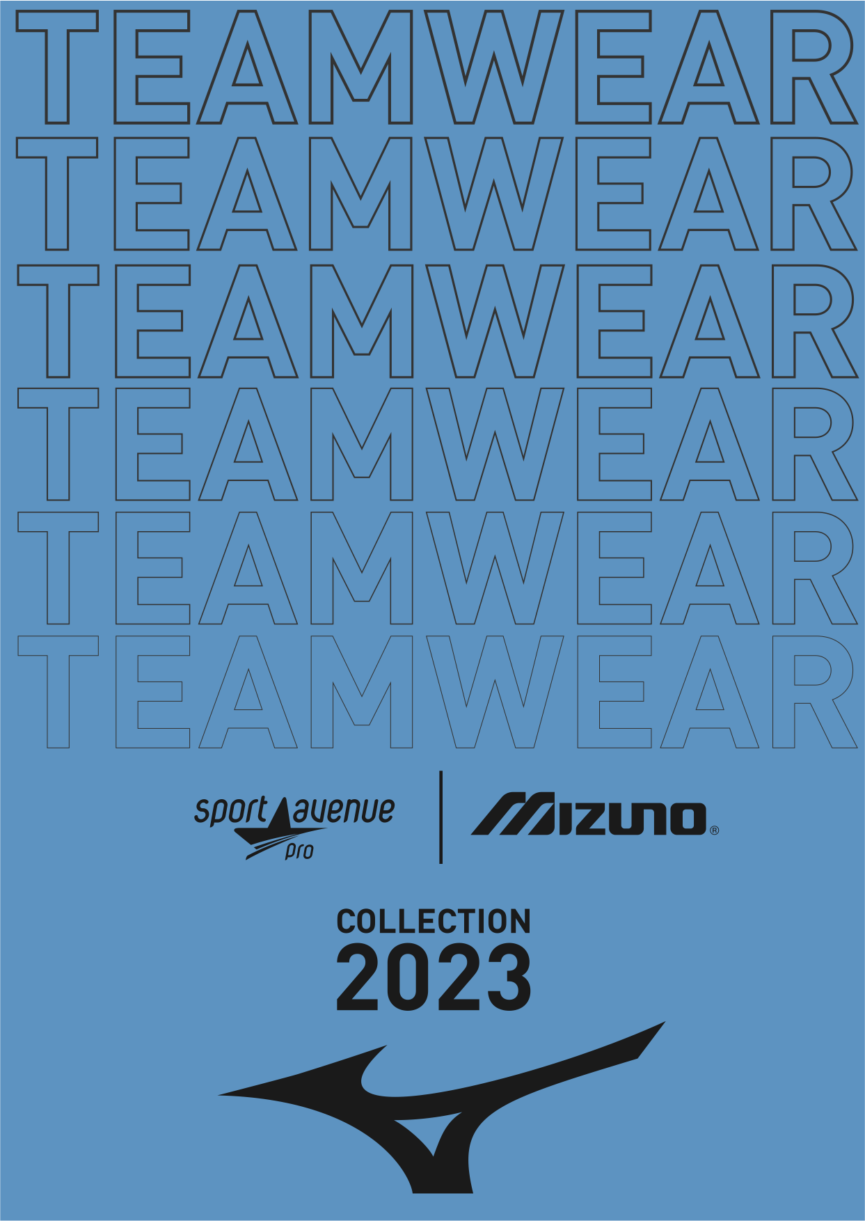 catalogue mizuno